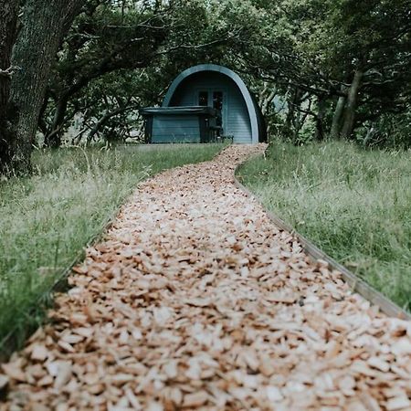 Snowdonia Mawddach Cabin + Hot Tub Barmouth Eksteriør billede