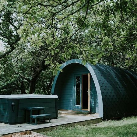 Snowdonia Mawddach Cabin + Hot Tub Barmouth Eksteriør billede