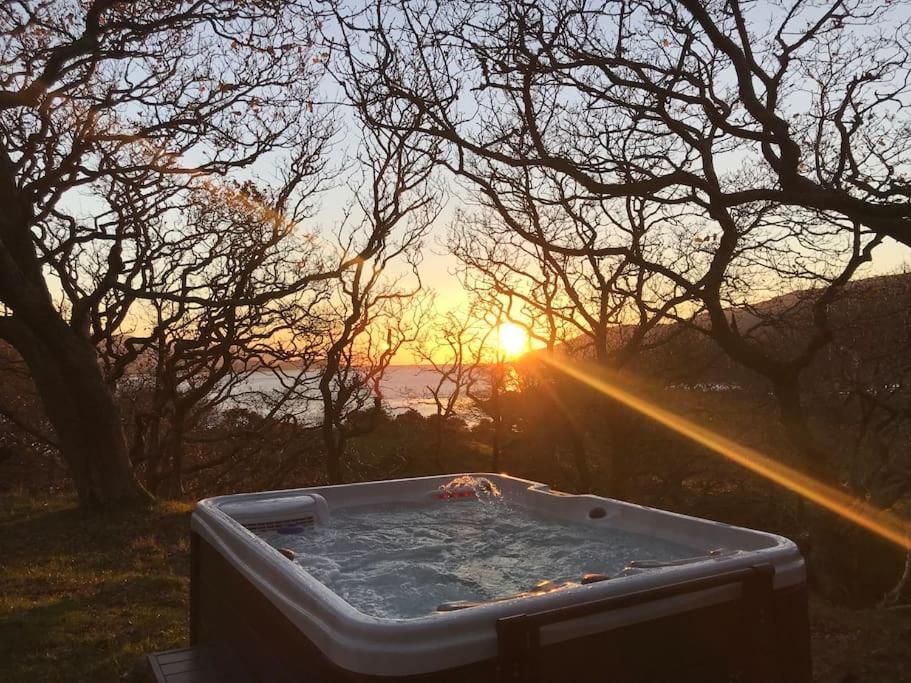 Snowdonia Mawddach Cabin + Hot Tub Barmouth Eksteriør billede