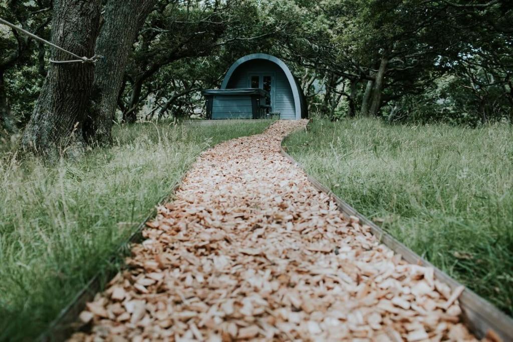 Snowdonia Mawddach Cabin + Hot Tub Barmouth Eksteriør billede