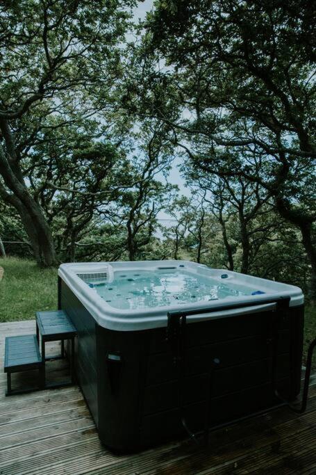 Snowdonia Mawddach Cabin + Hot Tub Barmouth Eksteriør billede