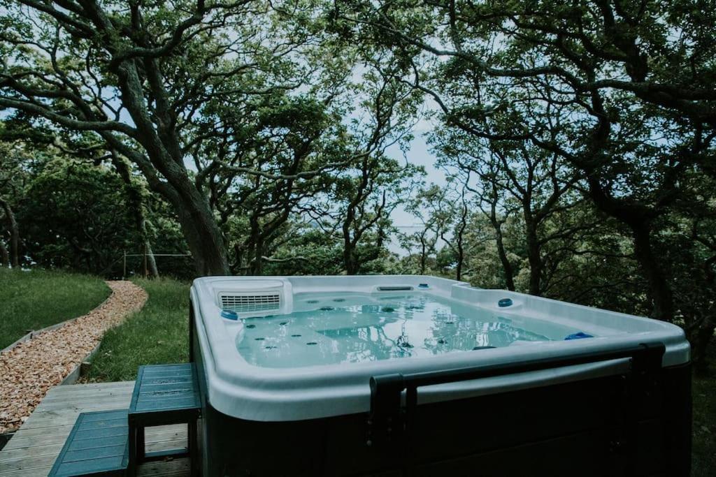 Snowdonia Mawddach Cabin + Hot Tub Barmouth Eksteriør billede