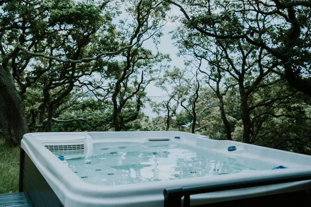 Snowdonia Mawddach Cabin + Hot Tub Barmouth Eksteriør billede