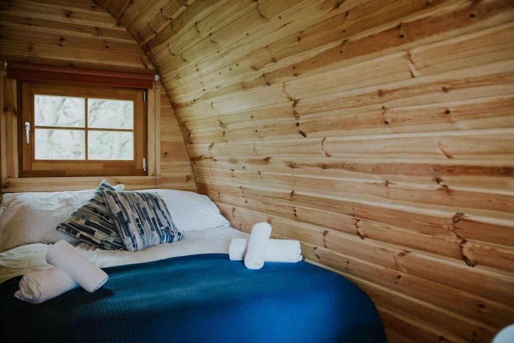 Snowdonia Mawddach Cabin + Hot Tub Barmouth Eksteriør billede